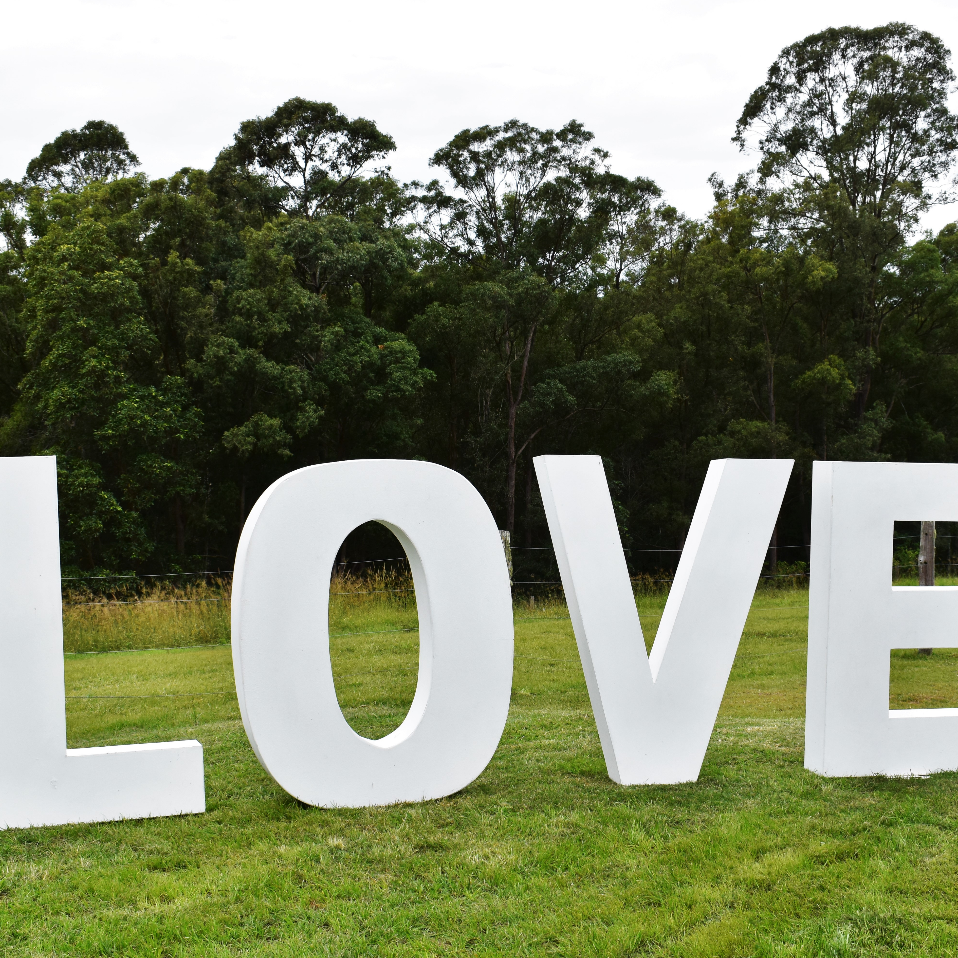 A green grassy field with the letters LOVE in white 